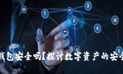 虚拟币上钱包安全吗？探讨数字资产的安全性与风险