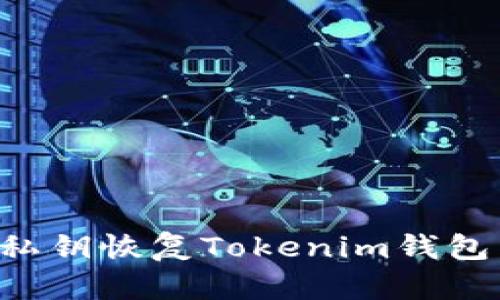 如何通过私钥恢复Tokenim钱包：详细指南