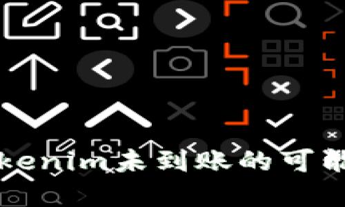 MDX币转账到Tokenim未到账的可能原因与解决方案