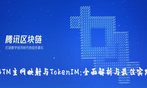 BTM主网映射与TokenIM：全面解析与最佳实践