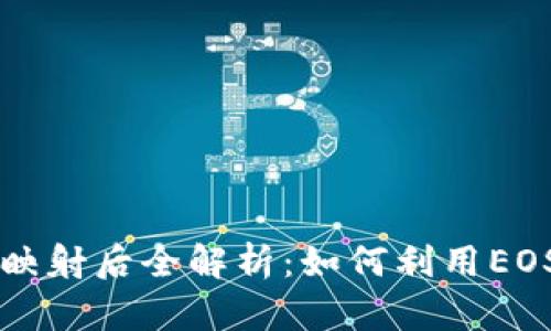Tokenim EOS映射后全解析：如何利用EOS区块链的潜力