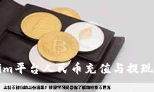 Tokenim平台人民币充值与提现全解析