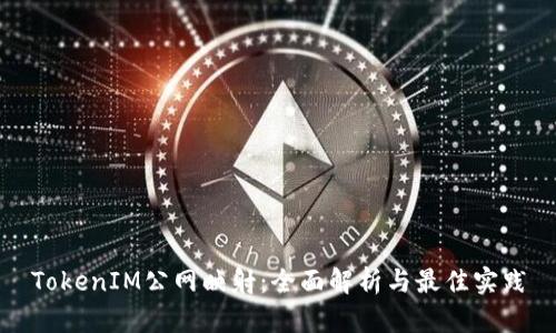 TokenIM公网映射:全面解析与最佳实践