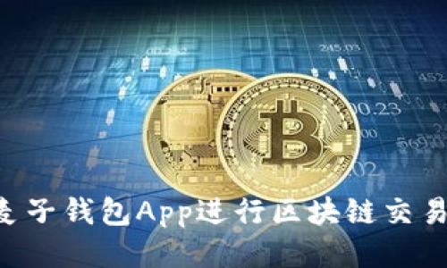 如何使用麦子钱包App进行区块链交易：全面指南