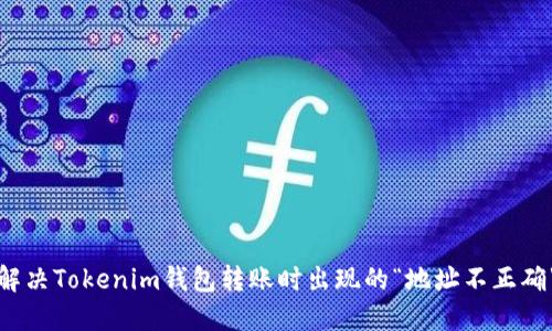 如何解决Tokenim钱包转账时出现的“地址不正确”问题