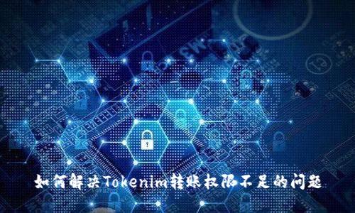 如何解决Tokenim转账权限不足的问题