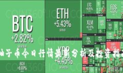 柚子币今日行情最新分析