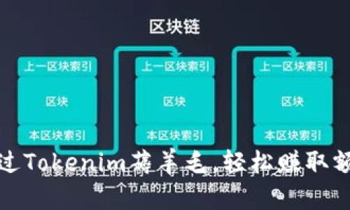 如何通过Tokenim薅羊毛，轻松赚取额外收益