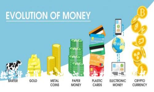 数字货币钱包基础知识：完全指南与实用技巧