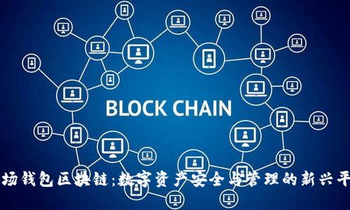 波场钱包区块链：数字资产安全与管理的新兴平台