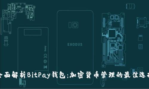 全面解析BitPay钱包：加密货币管理的最佳选择