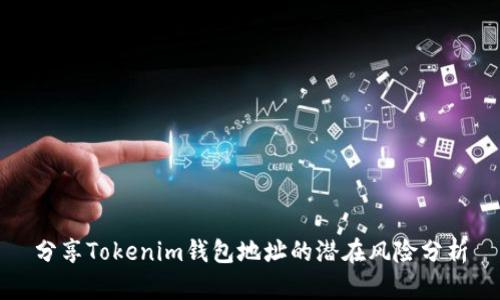 分享Tokenim钱包地址的潜在风险分析