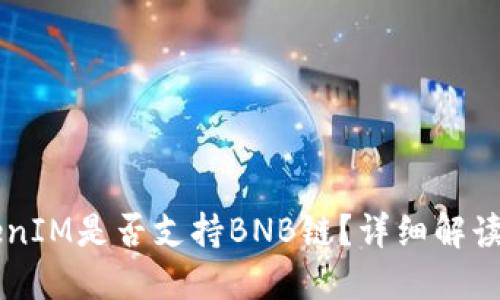 ### TokenIM是否支持BNB链?详细解读与使用指南