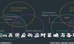 Tokenim关停后的应对策略与