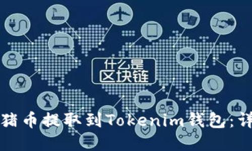 如何将猪币提取到Tokenim钱包：详细指南