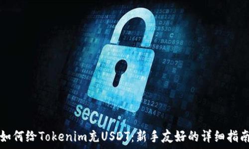   
如何给Tokenim充USDT：新手友好的详细指南