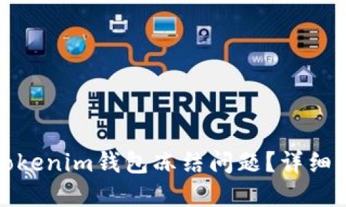 如何解决Tokenim钱包冻结问题？详细指南与解答