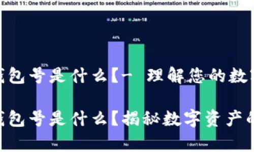 数字货币钱包号是什么？- 理解您的数字资产安全

数字货币钱包号是什么？揭秘数字资产的安全存储