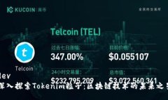 dev深入探索Tokenim粒子：区