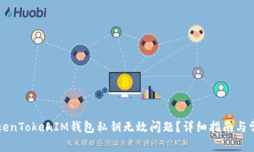 如何解决TokenTokenIM钱包私钥无效问题？详细指南与常见问题解析