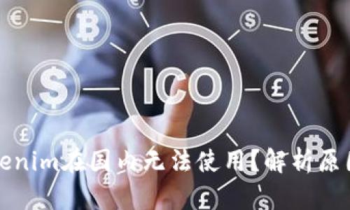 为何Tokenim在国内无法使用？解析原因与影响