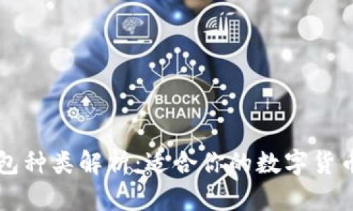 区块链钱包种类解析：适合你的数字货币钱包推荐