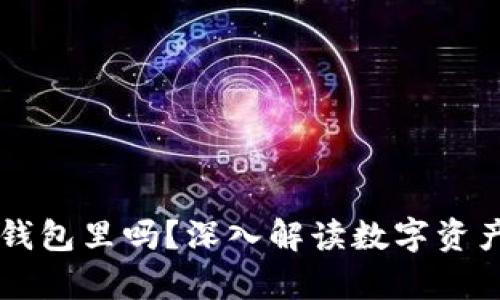 虚拟币必须要放钱包里吗？深入解读数字资产存储的最佳实践